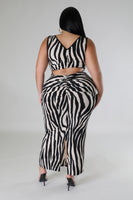 Zebrasha Dress