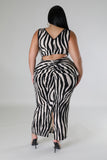 Zebrasha Dress